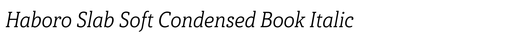 Haboro Slab Soft Condensed Book Italic image